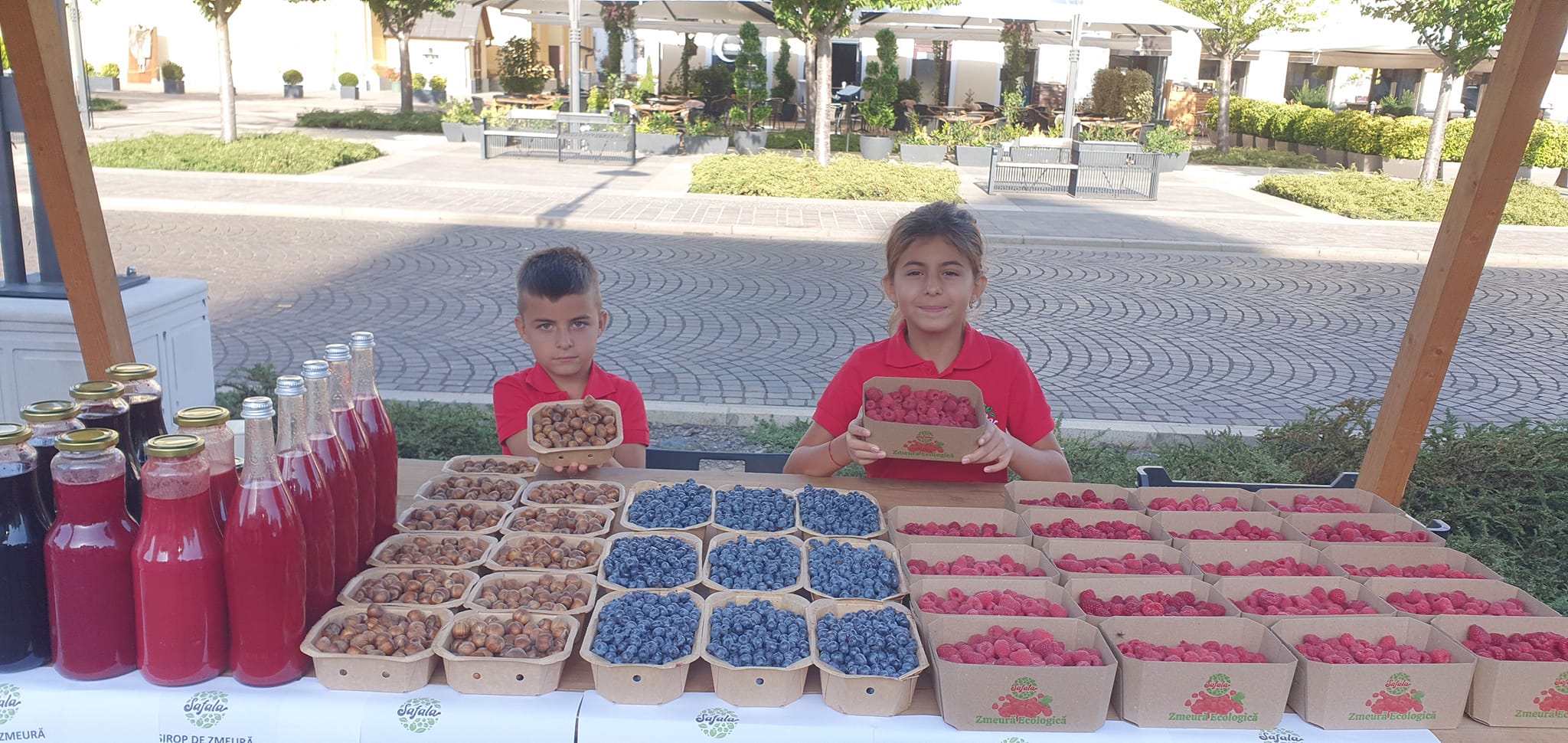 Safala – fotografia 10